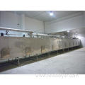 DW mesh belt dryer for drying vegetables